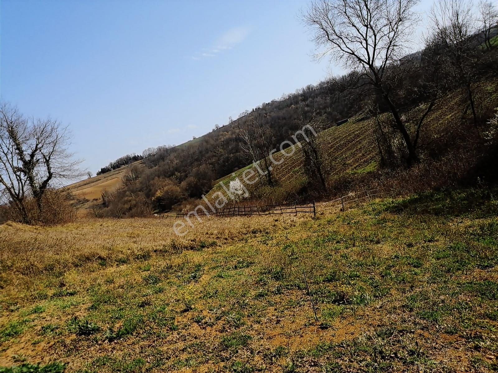 Kocaeli Kandıra Hıdırlar Da 872.30 M2 %5 İmarlı Satılık Arsa