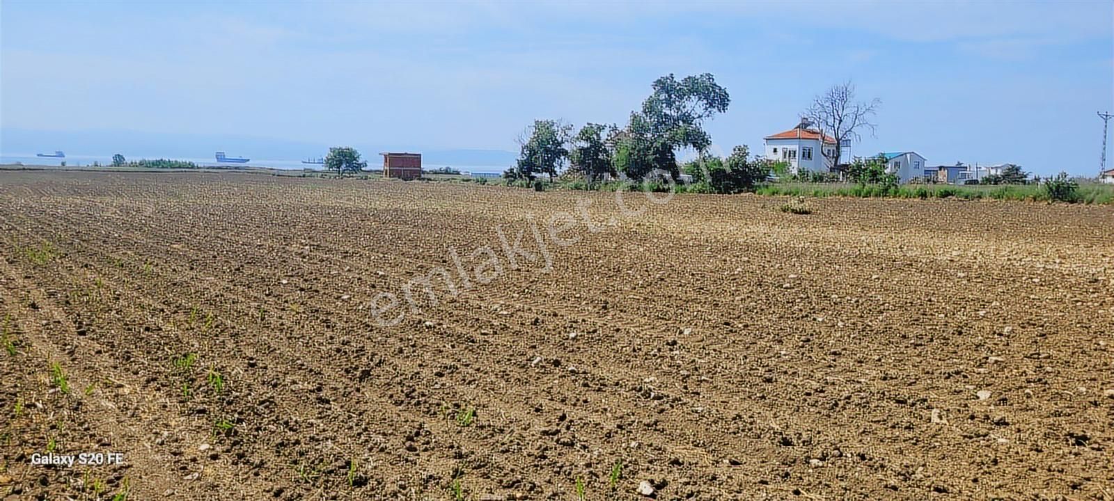 Çanakkale Gelibolu Bolayırda Satılık Arsa Deniz Doğa Bir Arada - Görsel 3