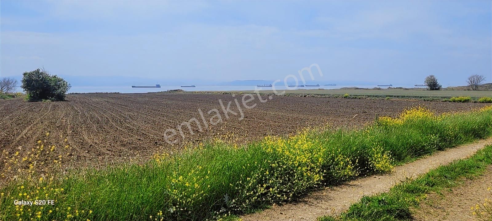 Çanakkale Gelibolu Demirtepe Köyünde Denize 1parsel Satılık Arsa - Görsel 7