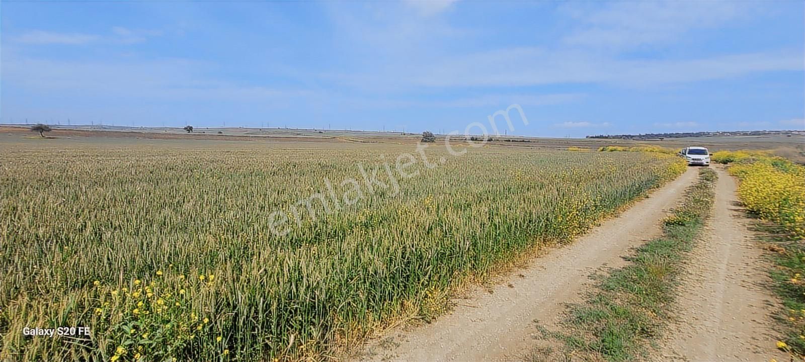 Çanakkale Gelibolu Demirtepe Köyünde Denize 1parsel Satılık Arsa - Görsel 20