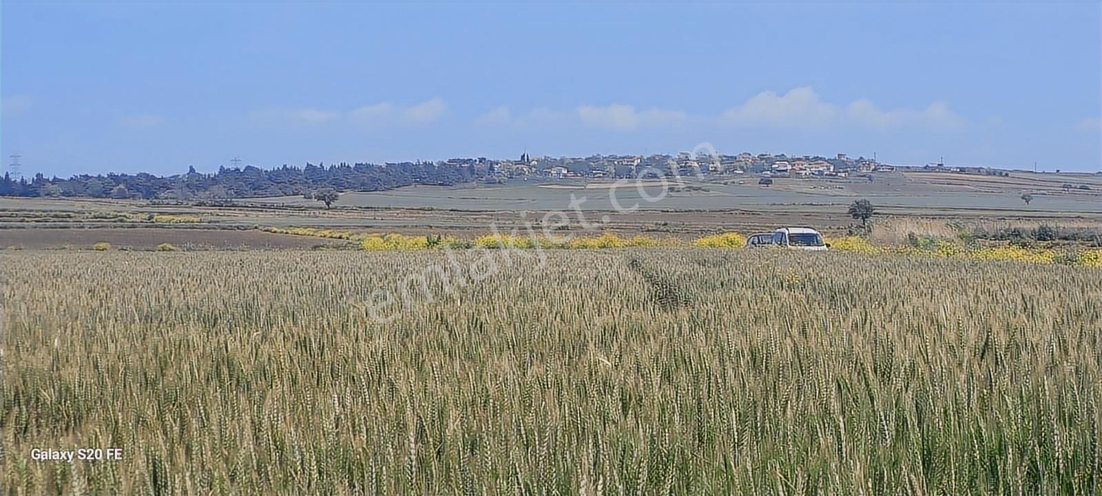 Çanakkale Gelibolu Demirtepe Köyünde Denize 1parsel Satılık Arsa - Görsel 22