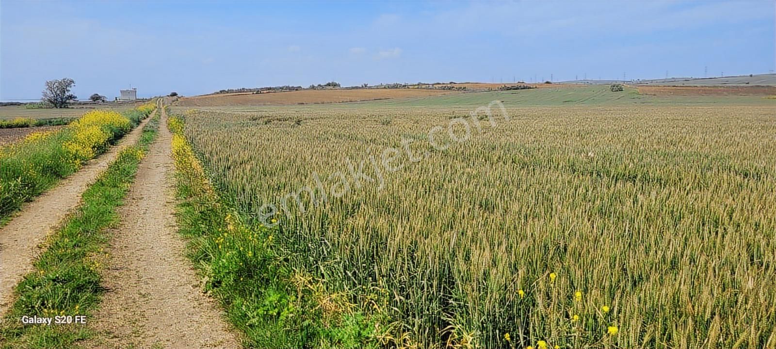 Çanakkale Gelibolu Demirtepe Köyünde Denize 1parsel Satılık Arsa - Görsel 24
