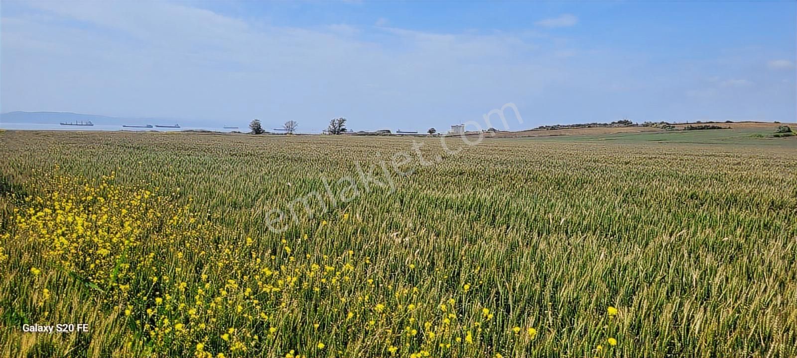 Çanakkale Gelibolu Demirtepe Köyünde Denize 1parsel Satılık Arsa - Görsel 3