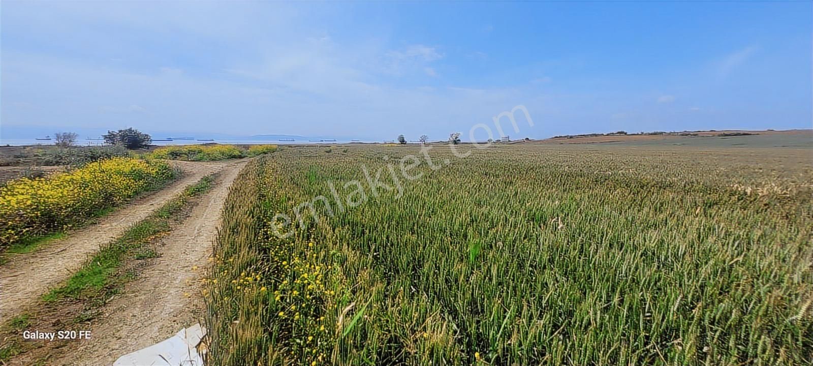 Çanakkale Gelibolu Demirtepe Köyünde Denize 1parsel Satılık Arsa - Görsel 11
