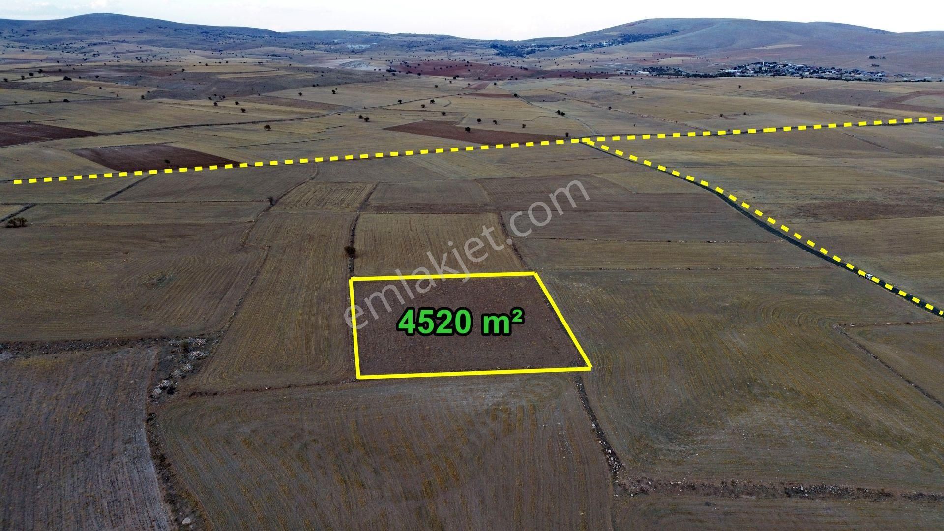 Konya / Meram / Güneydere Mahallesinde 4.520 M² Müstakil Tarla - Görsel 2