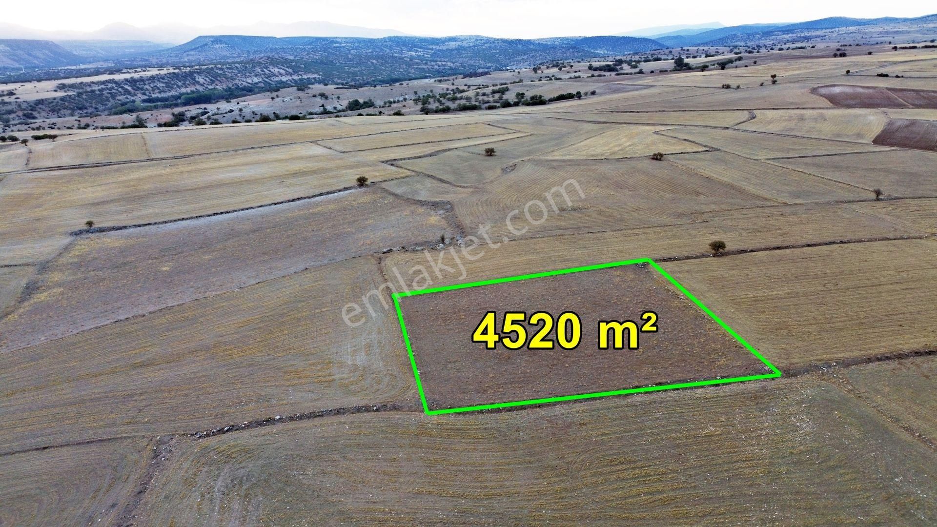 Konya / Meram / Güneydere Mahallesinde 4.520 M² Müstakil Tarla - Görsel 5