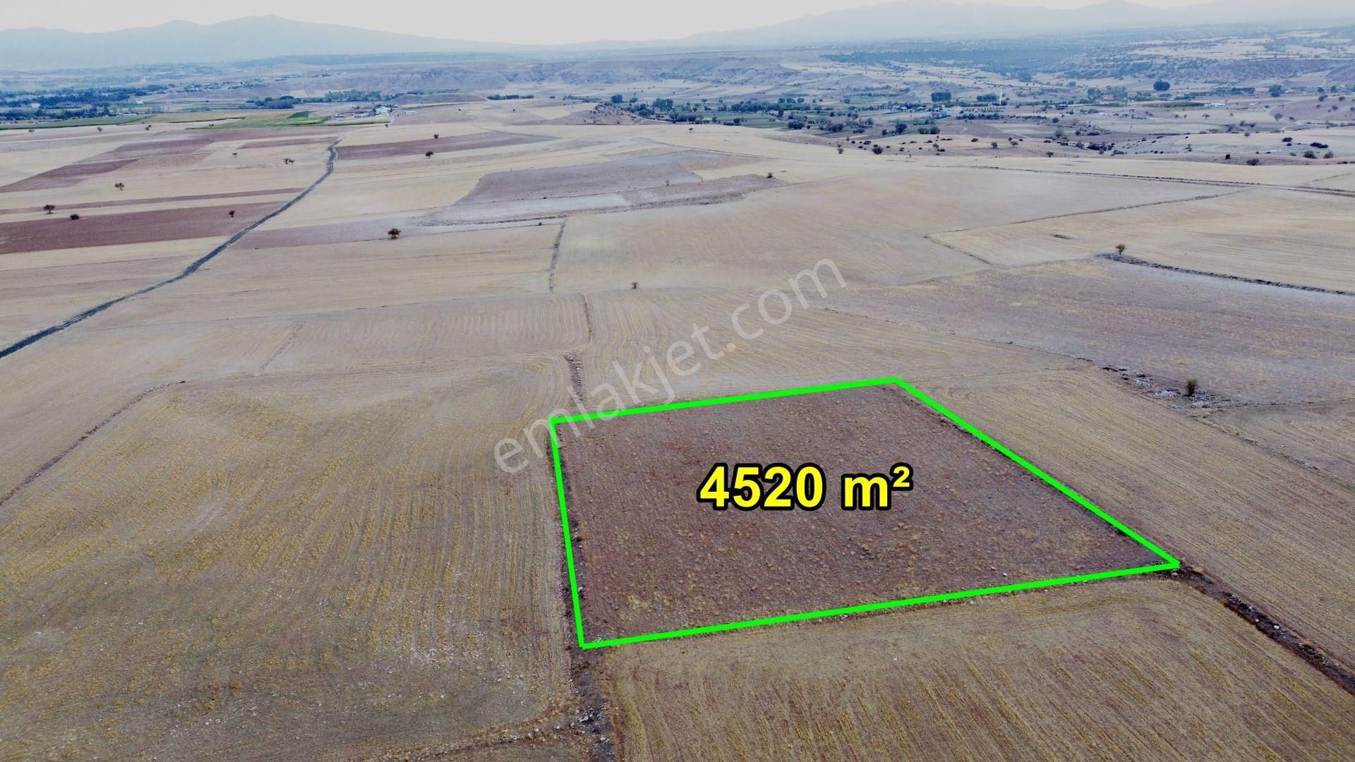 Konya / Meram / Güneydere Mahallesinde 4.520 M² Müstakil Tarla - Görsel 4