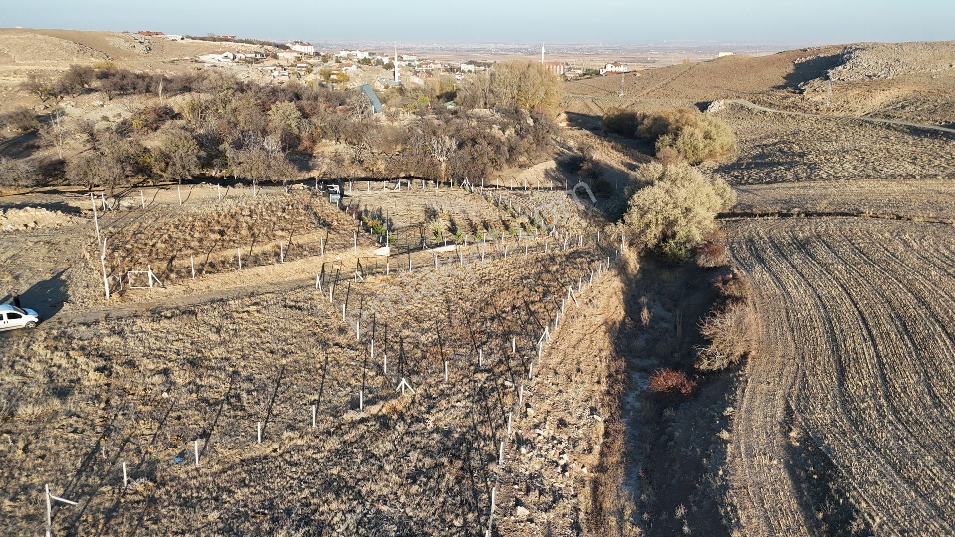 Meram Pamukçu Da 885 M² Bahçe Yapmaya Ve Yatırıma Uygun Tarla..! - Görsel 2