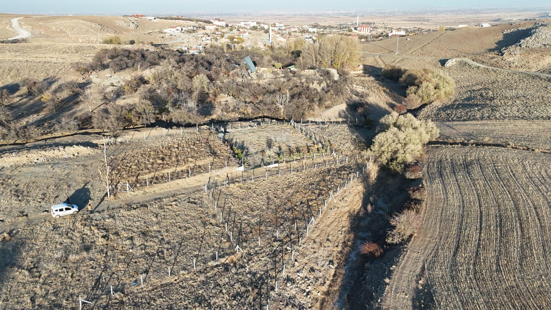 Meram Pamukçu Da 885 M² Bahçe Yapmaya Ve Yatırıma Uygun Tarla..! - Görsel 9