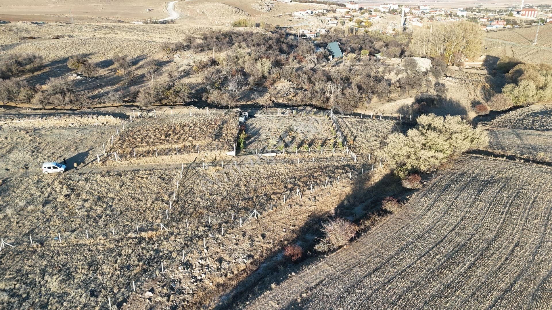 Meram Pamukçu Da 885 M² Bahçe Yapmaya Ve Yatırıma Uygun Tarla..! - Görsel 6