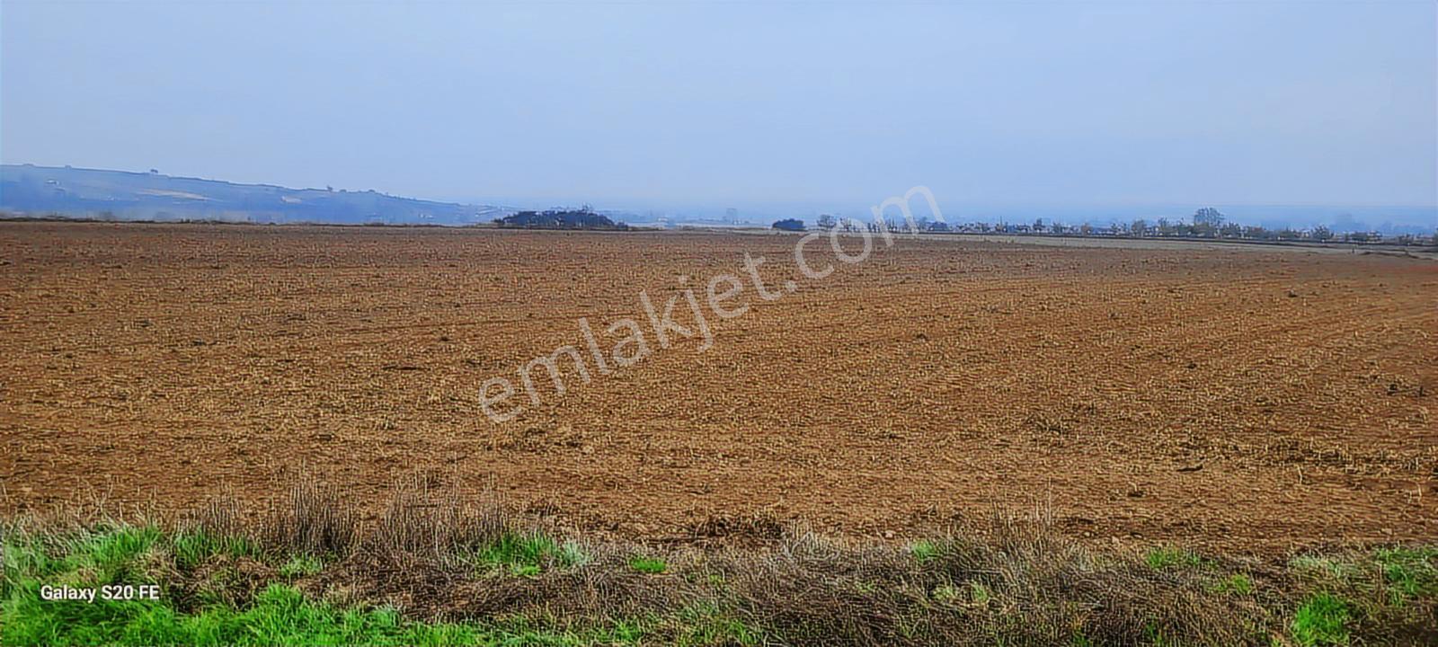 Tekirdağ Kapaklı Karlıda Resmi Yola Cepheli Satılık Tarla
