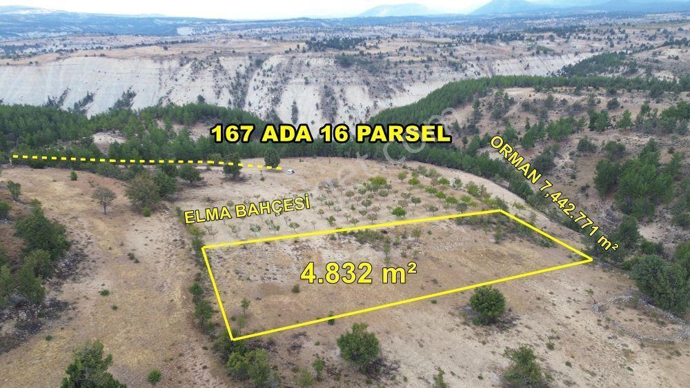 Karaman / Ermenek / Olukpınar Mah. 4.832 M² Müstakil Tarla - Görsel 3