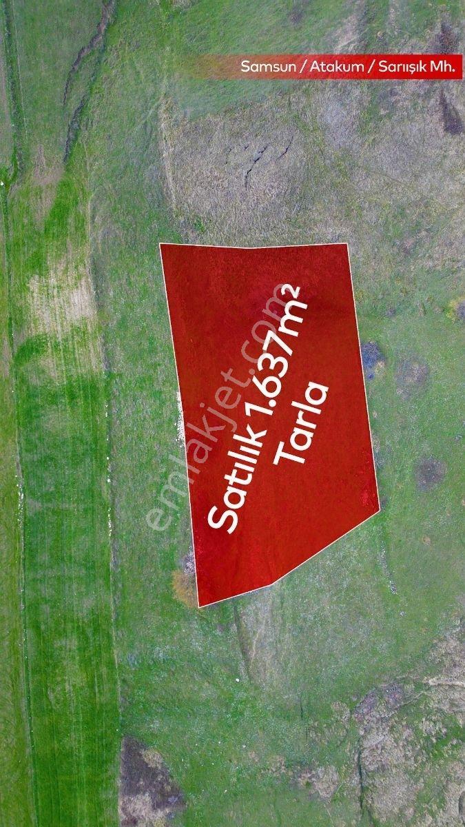 Truva/nazım'dan Atakum Sarıışık Satılık Fırsat Takaslı Tarla - Görsel 8