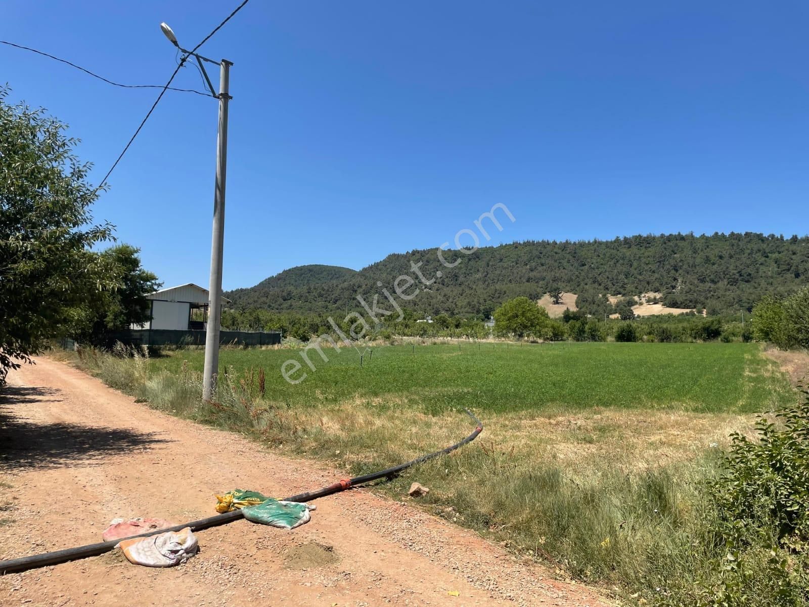Gölcük Mahallesinde 4209 M2 Tek Tapu Fırsat Arazi