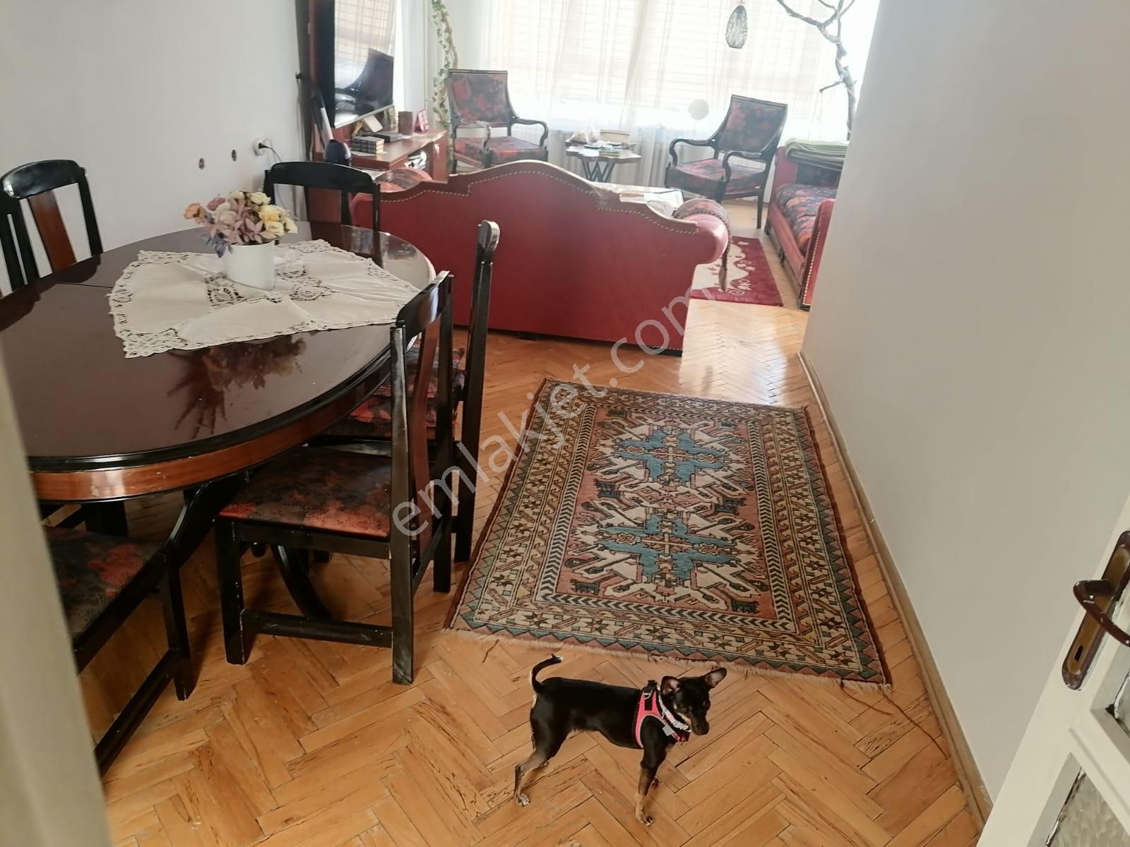 Önaldan Ankara Çankaya Dikmen Harbiye Mah. 3+1 Ankara Manzaralı - Görsel 8