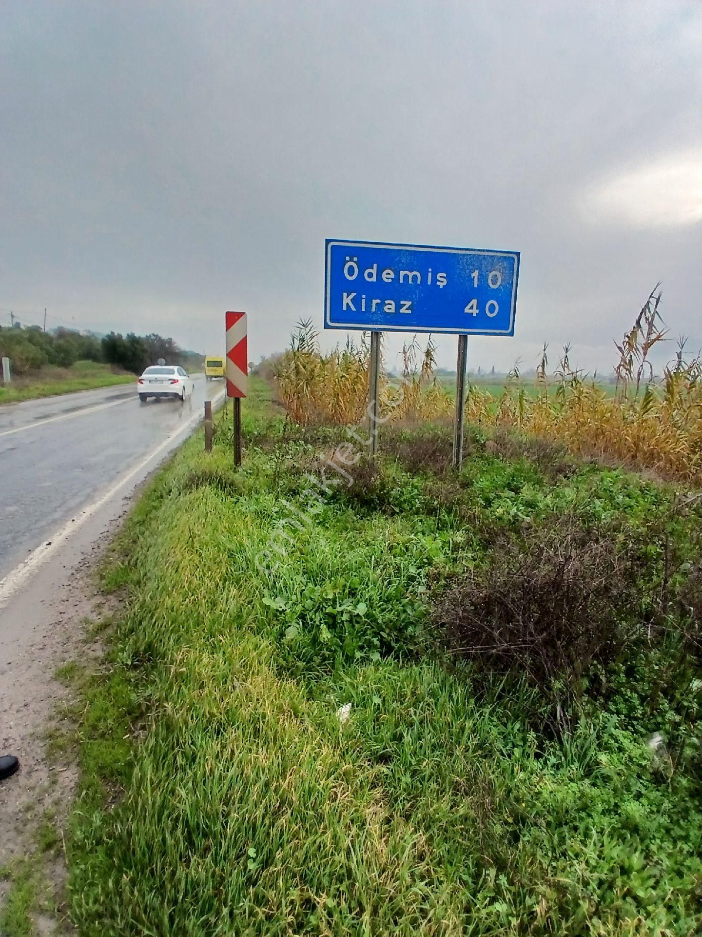 Tire Teira Gayrimenkulden Satılık Asfalt Cepeli Tarım Arazisi - Görsel 4