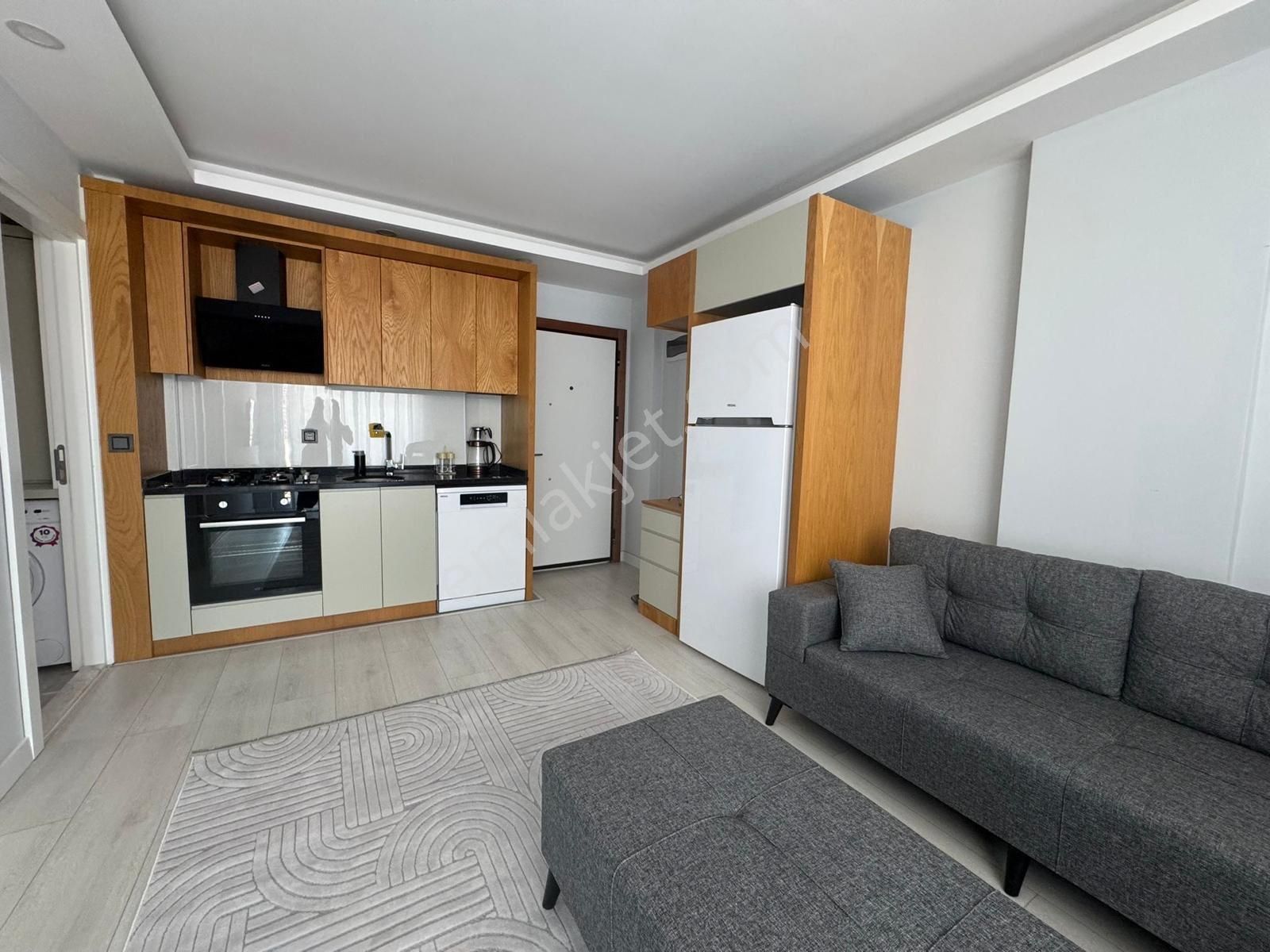 Altıntaş’ta Full Eşyalı 1+1 Kiralık Daire Ara Katta - Görsel 3