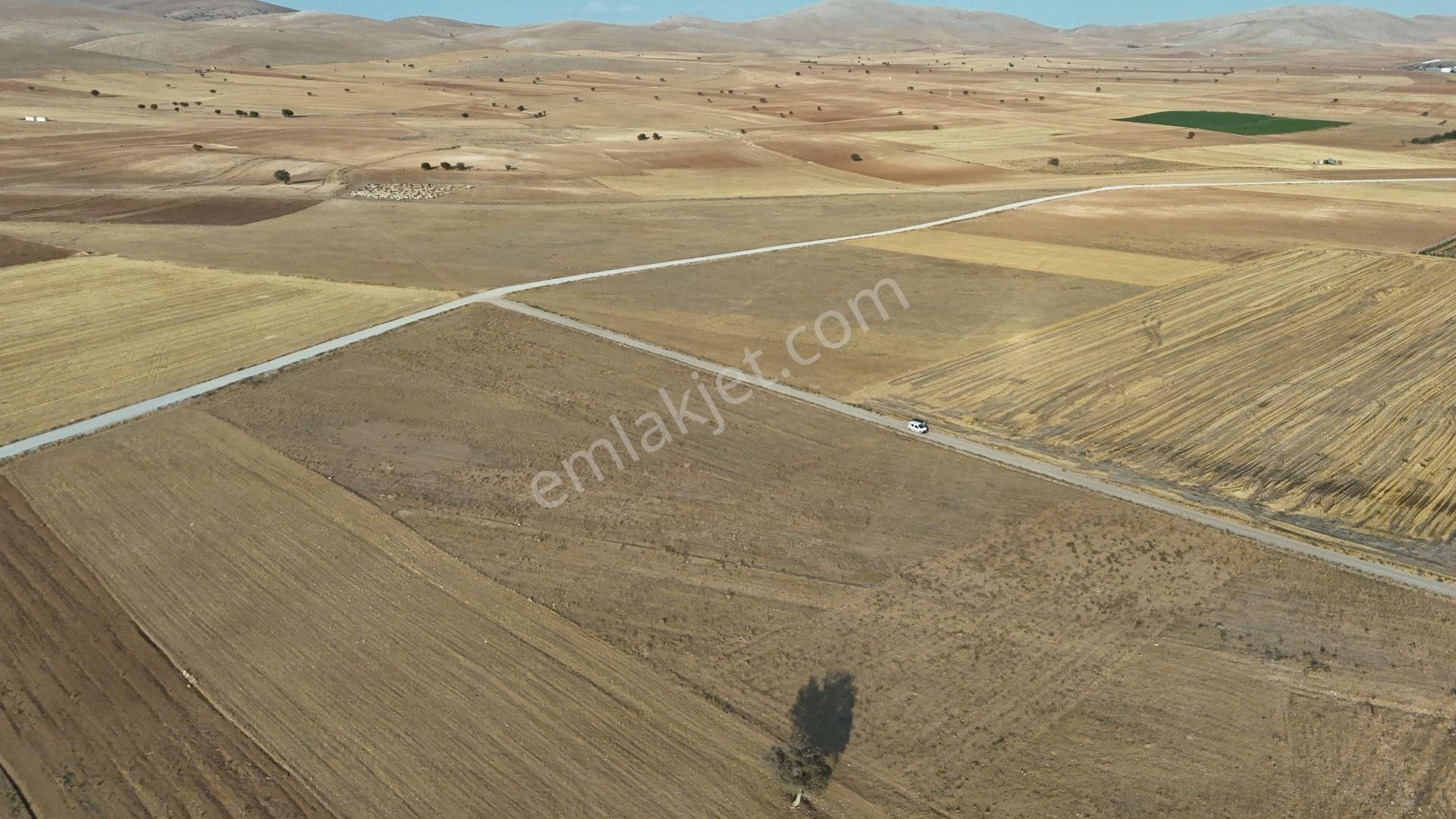 Konya / Meram / Hatunsaray Mahallesinde 3.890 M² Müstakil Tapulu Tarla - Görsel 2