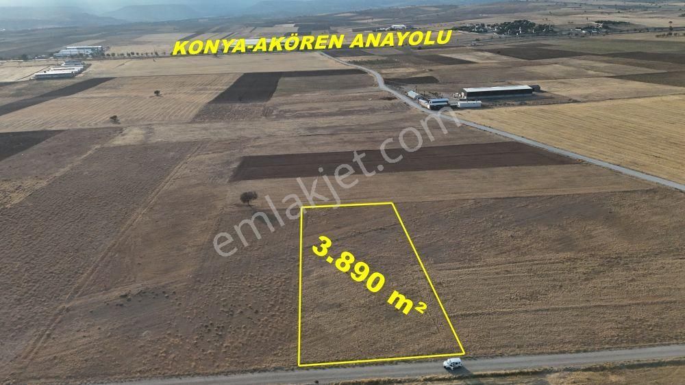 Konya / Meram / Hatunsaray Mahallesinde 3.890 M² Müstakil Tapulu Tarla