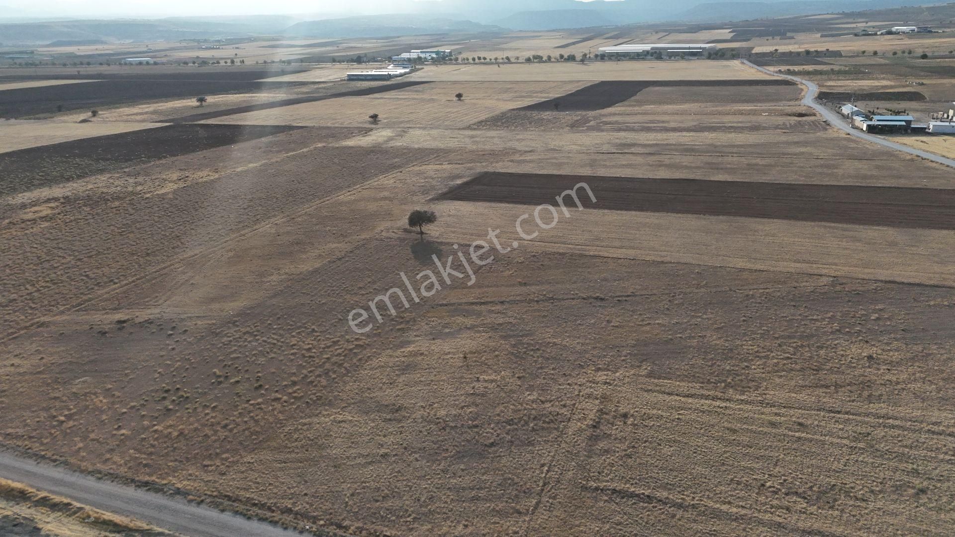 Konya / Meram / Hatunsaray Mahallesinde 3.890 M² Müstakil Tapulu Tarla - Görsel 10