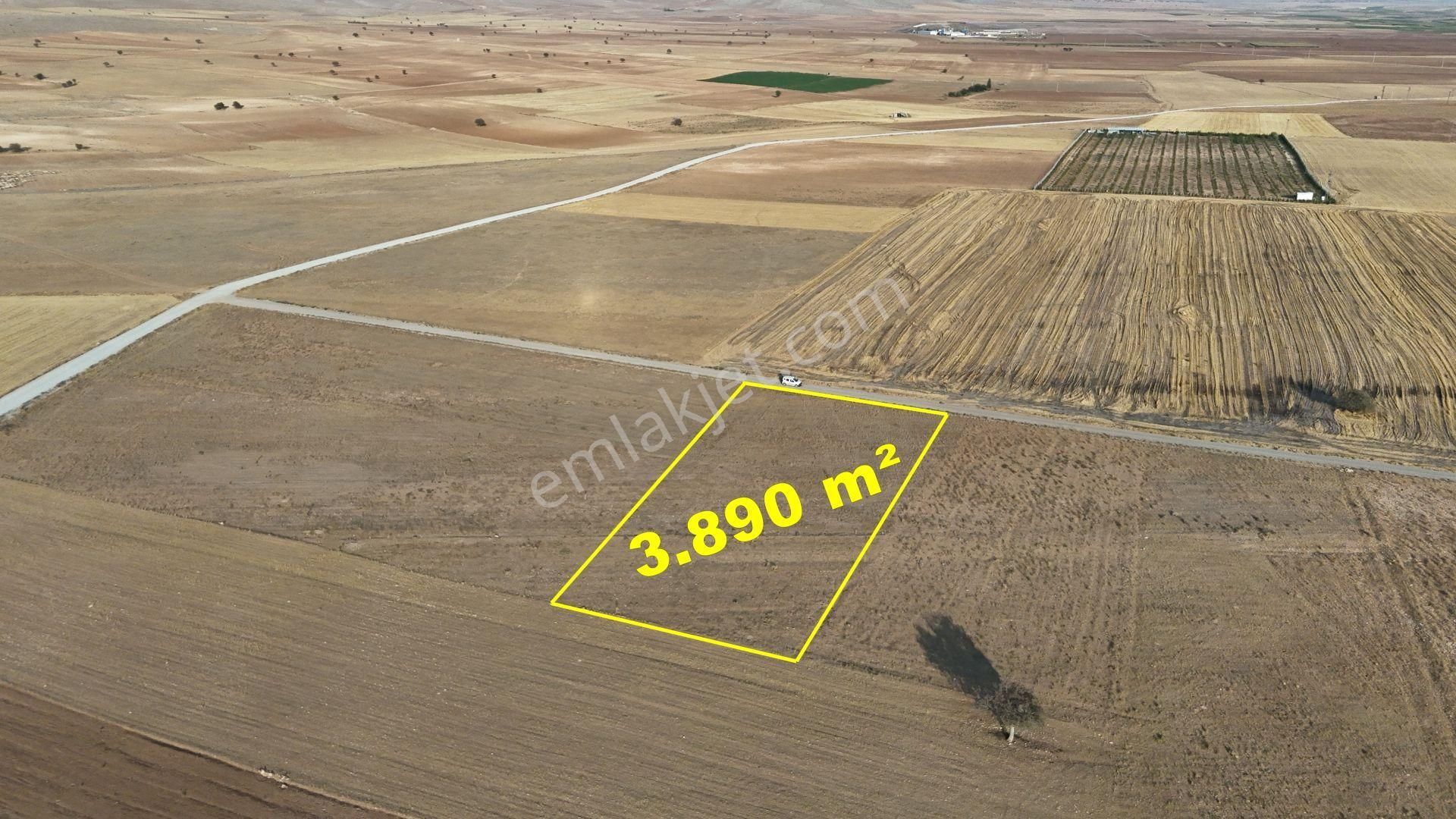 Konya / Meram / Hatunsaray Mahallesinde 3.890 M² Müstakil Tapulu Tarla - Görsel 4