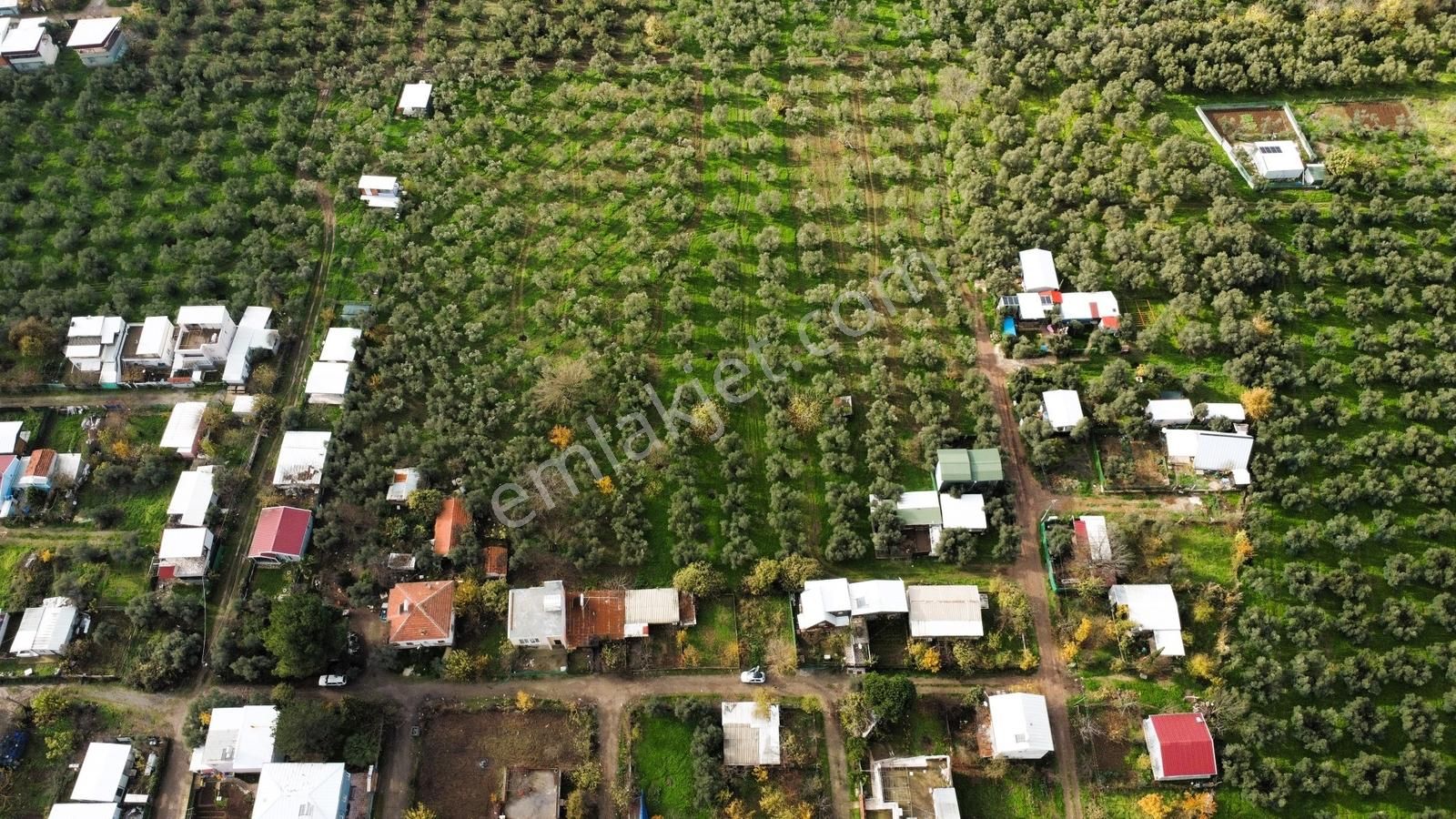 Gemlik/gençali Köyünde 2359m2 Togg Karşısı Satılık Tarla - Görsel 9