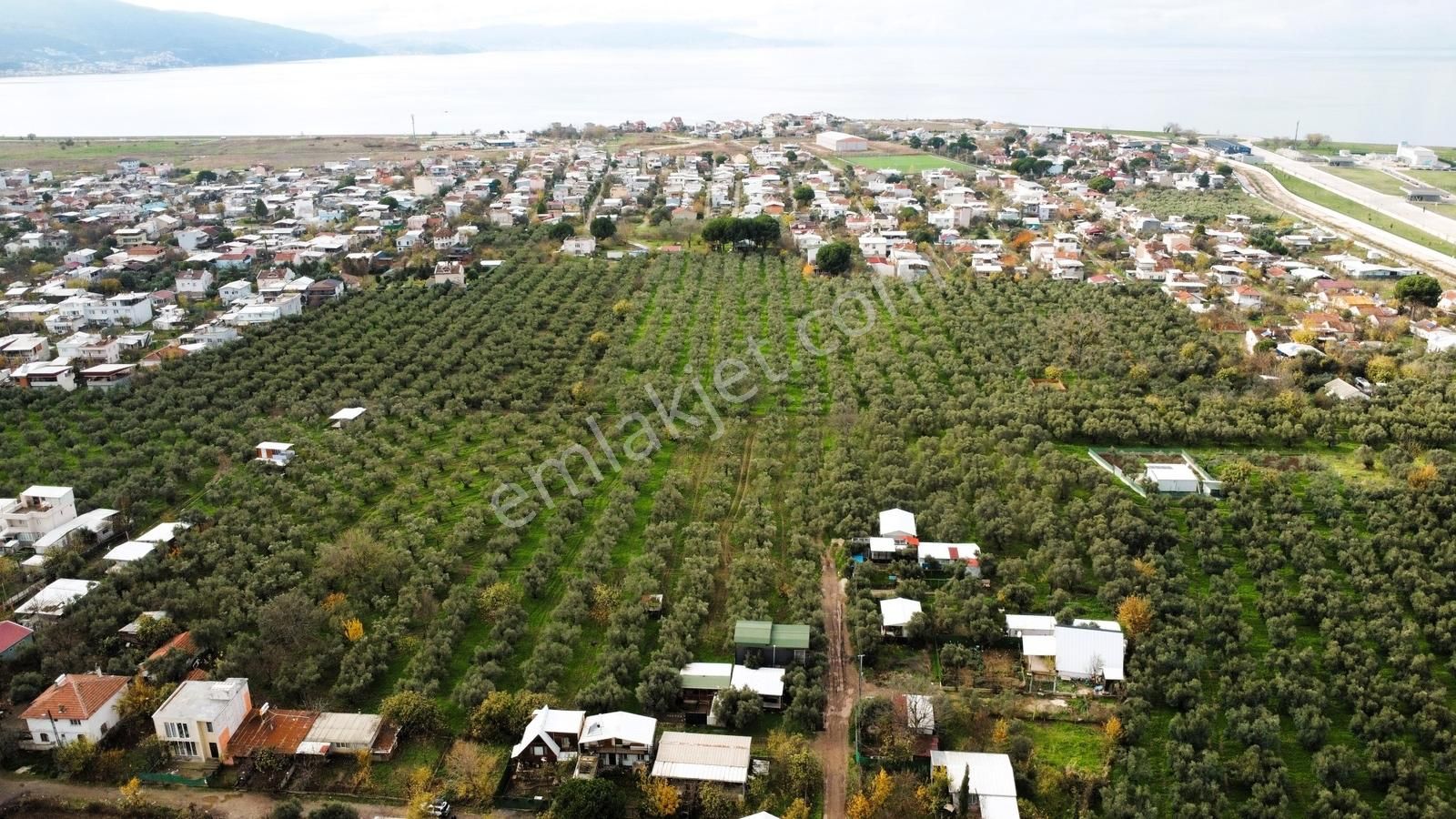 Gemlik/gençali Köyünde 2359m2 Togg Karşısı Satılık Tarla - Görsel 8