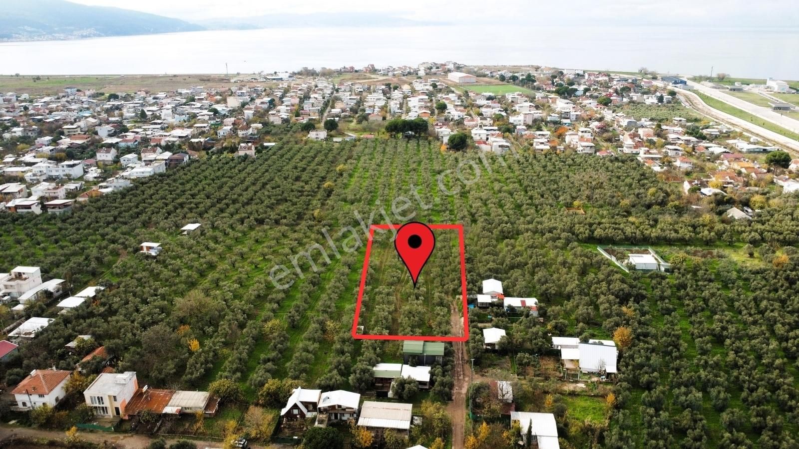 Gemlik/gençali Köyünde 2359m2 Togg Karşısı Satılık Tarla - Görsel 7