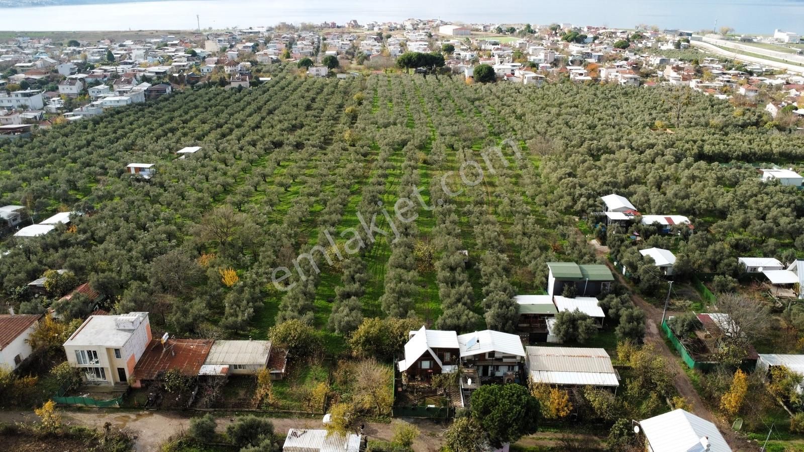 Gemlik/gençali Köyünde 2359m2 Togg Karşısı Satılık Tarla - Görsel 14