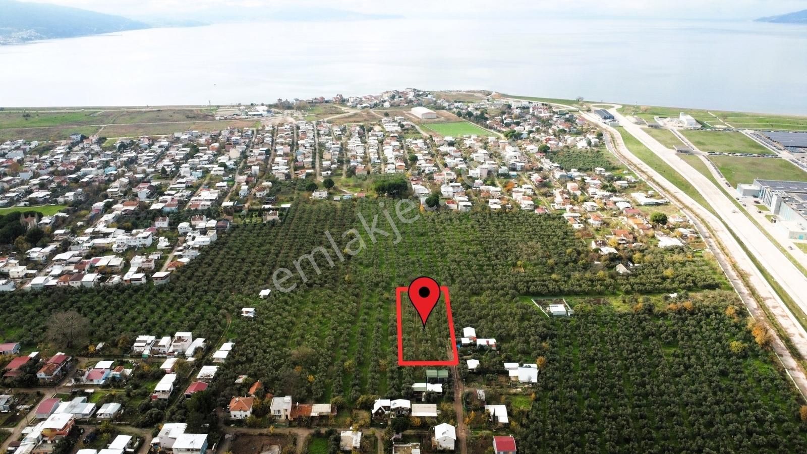Gemlik/gençali Köyünde 2359m2 Togg Karşısı Satılık Tarla - Görsel 11