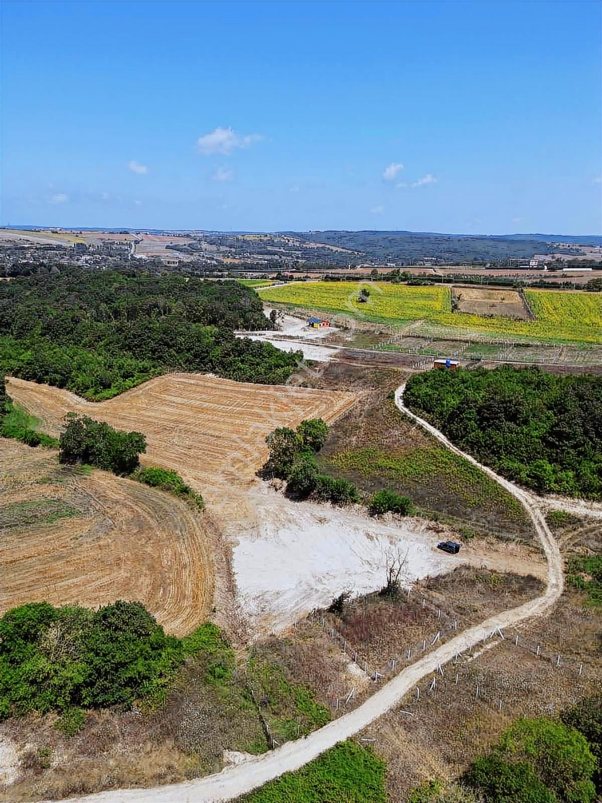 Çatalca Dağyenicede Satılık Arsa - Görsel 6