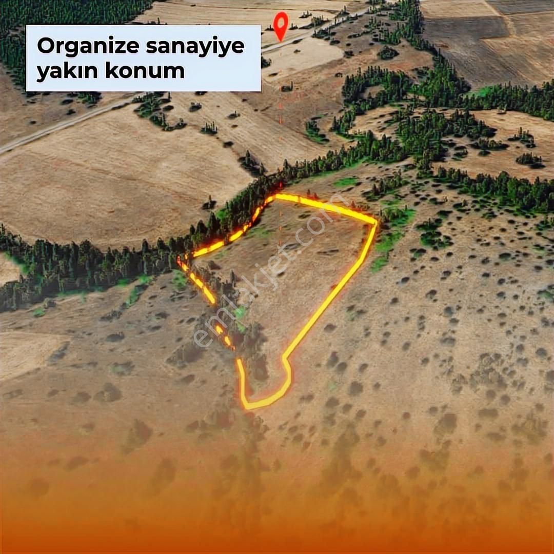 Karameşe De Geleceği Şimdiden Yakalayacağınız Fırsat Tarla - Görsel 3
