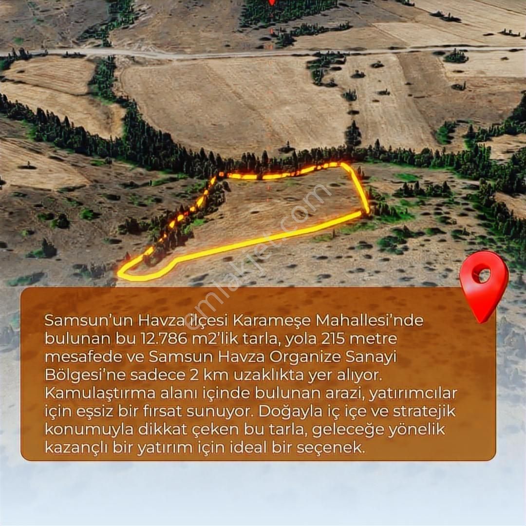 Karameşe De Geleceği Şimdiden Yakalayacağınız Fırsat Tarla - Görsel 8