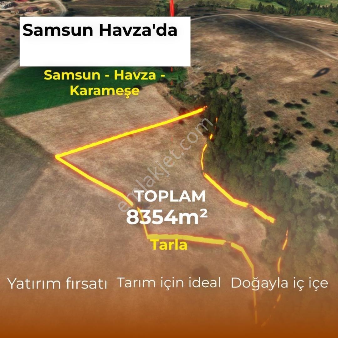 Havza Organize Sanayiye Komşu Güçlü Yatırım Fırsatı - Görsel 4