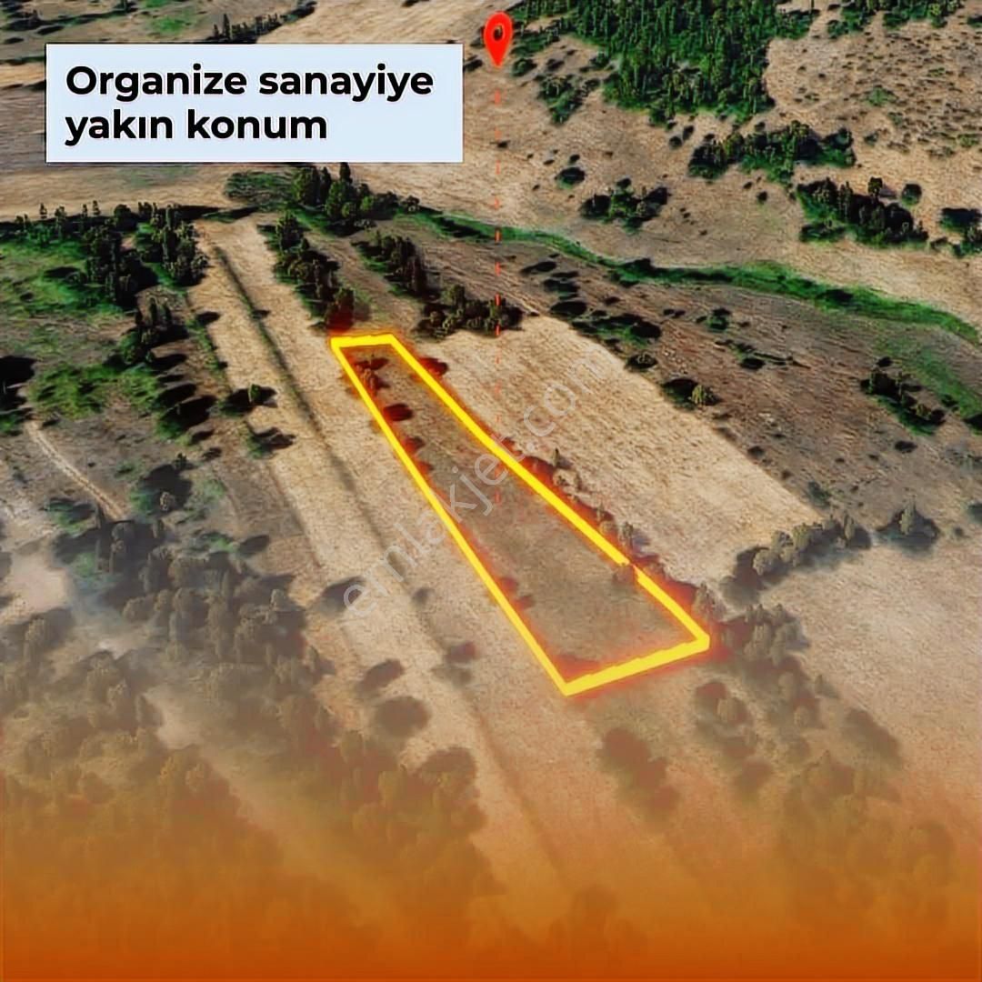 Havza Karameşe'de Satılık Tarla - Görsel 11