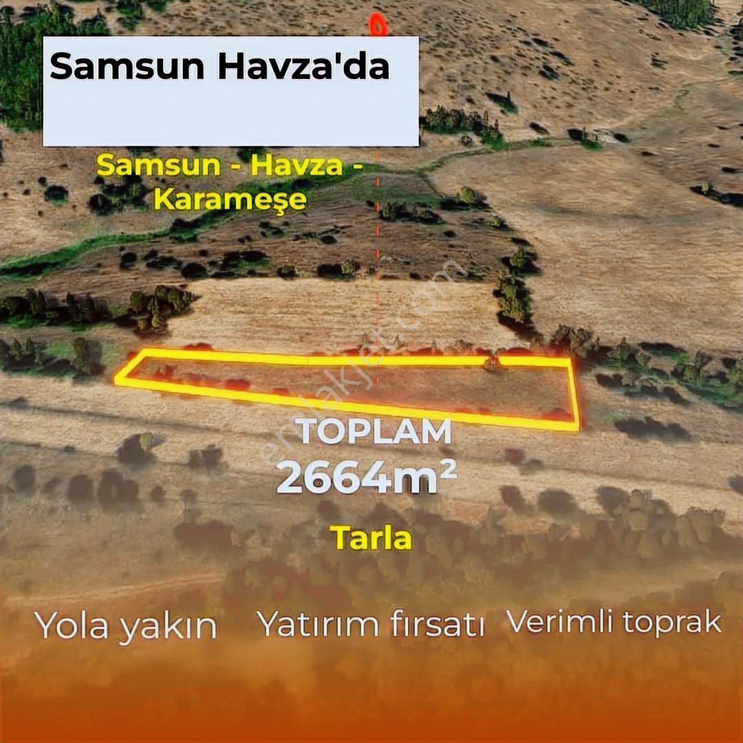 Havza Karameşe'de Satılık Tarla - Görsel 9