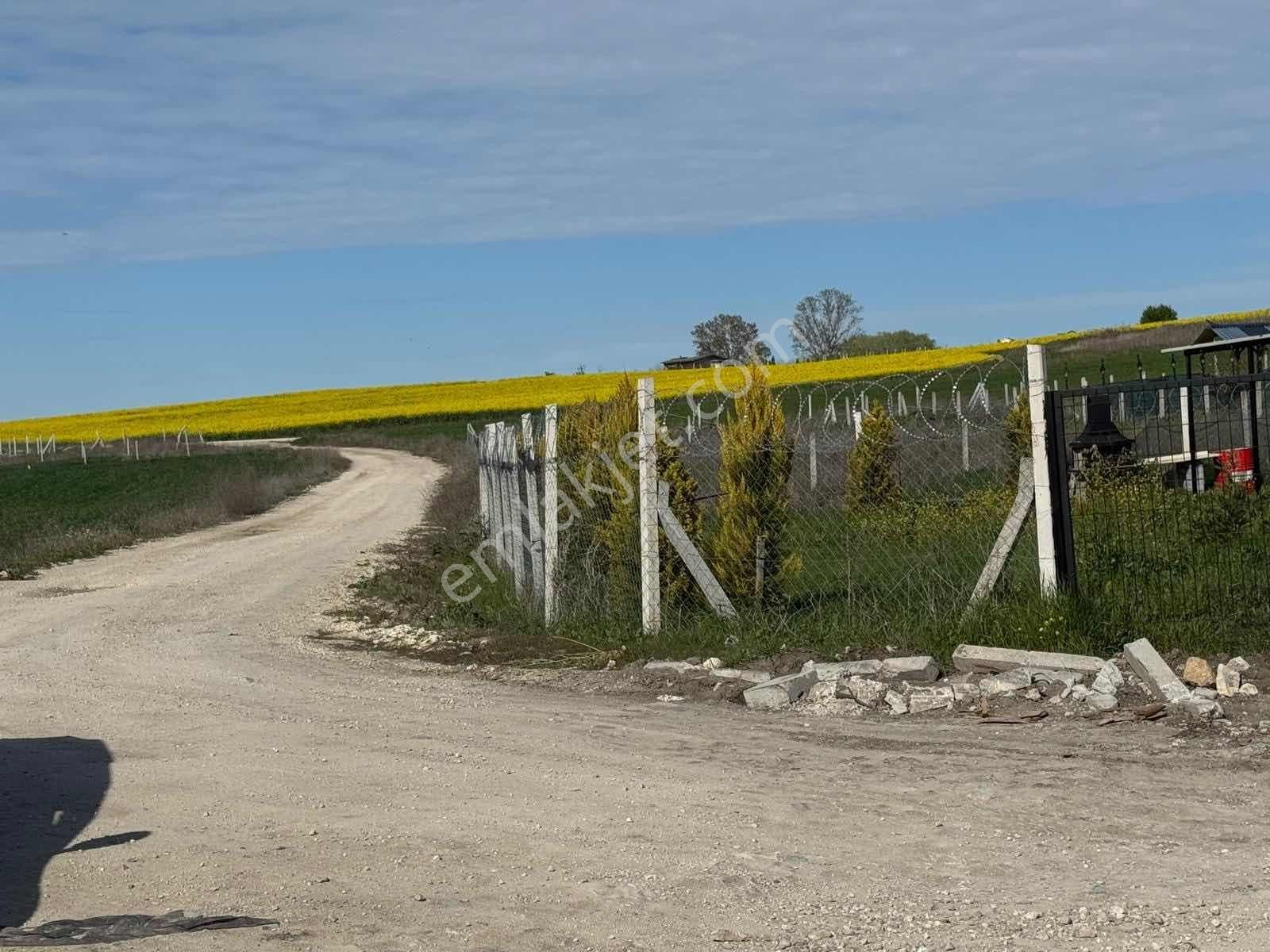 Çanta Balabanda Sahibinde Satılık İmarlı Arsa - Görsel 6
