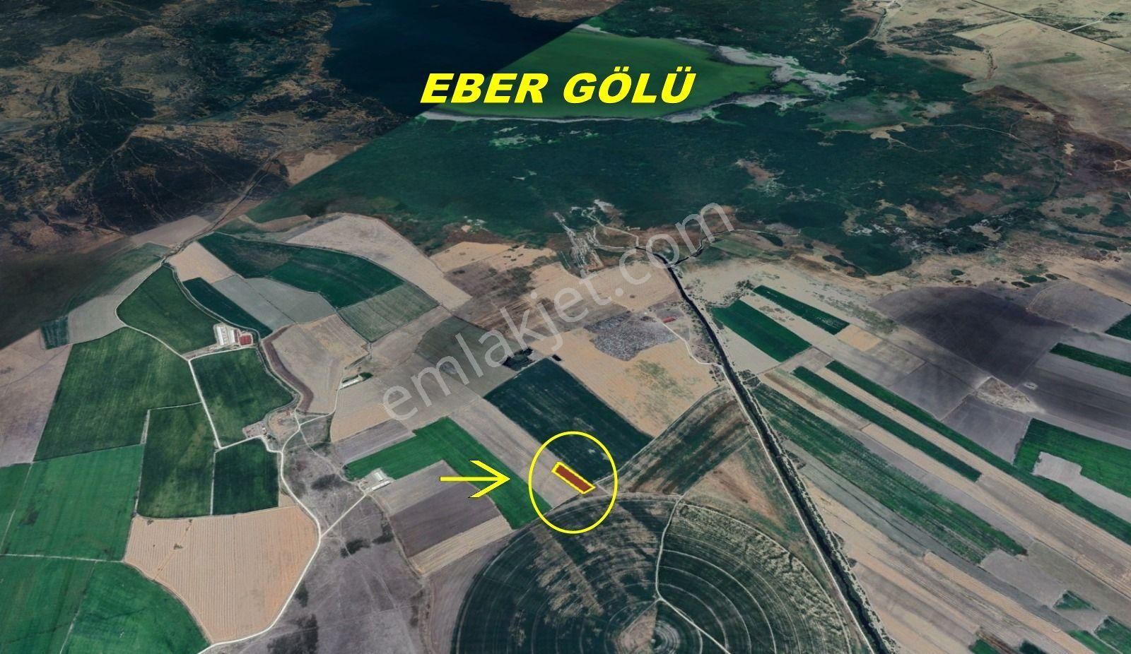 Afyonkarahisar / Bolvadin / Kırkgöz Mahallesinde 5.257 M² Müstakil Tapulu Tarla