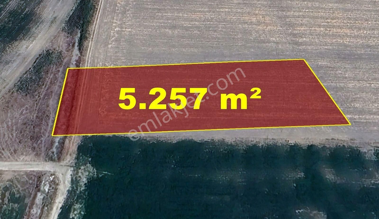 Afyonkarahisar / Bolvadin / Kırkgöz Mahallesinde 5.257 M² Müstakil Tapulu Tarla - Görsel 2