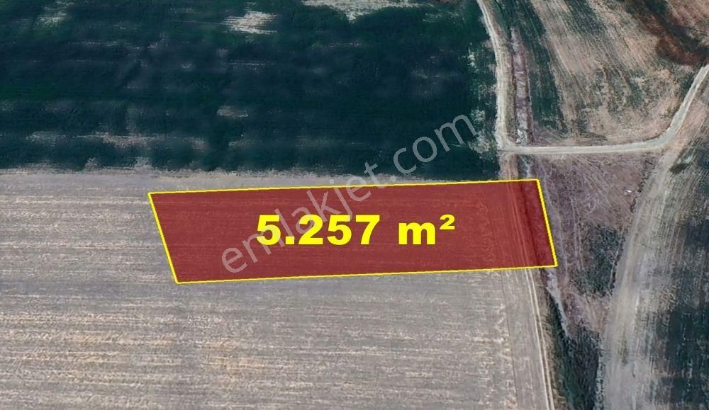 Afyonkarahisar / Bolvadin / Kırkgöz Mahallesinde 5.257 M² Müstakil Tapulu Tarla - Görsel 6