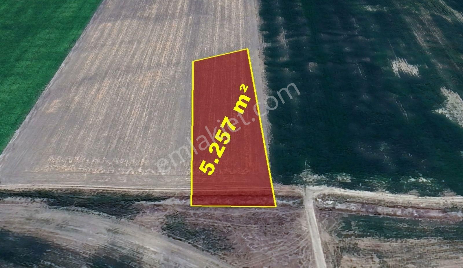 Afyonkarahisar / Bolvadin / Kırkgöz Mahallesinde 5.257 M² Müstakil Tapulu Tarla - Görsel 5