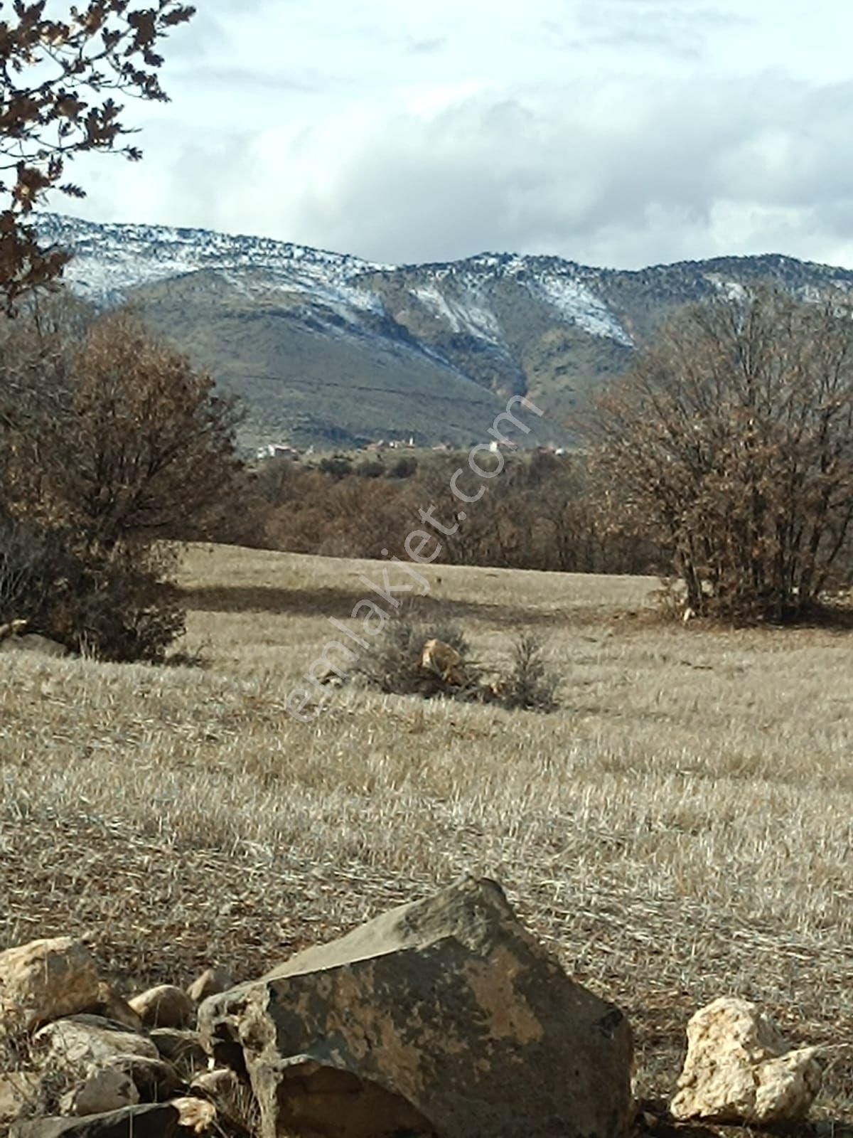 Meram Kayalida İntikal Tapulu - Görsel 5