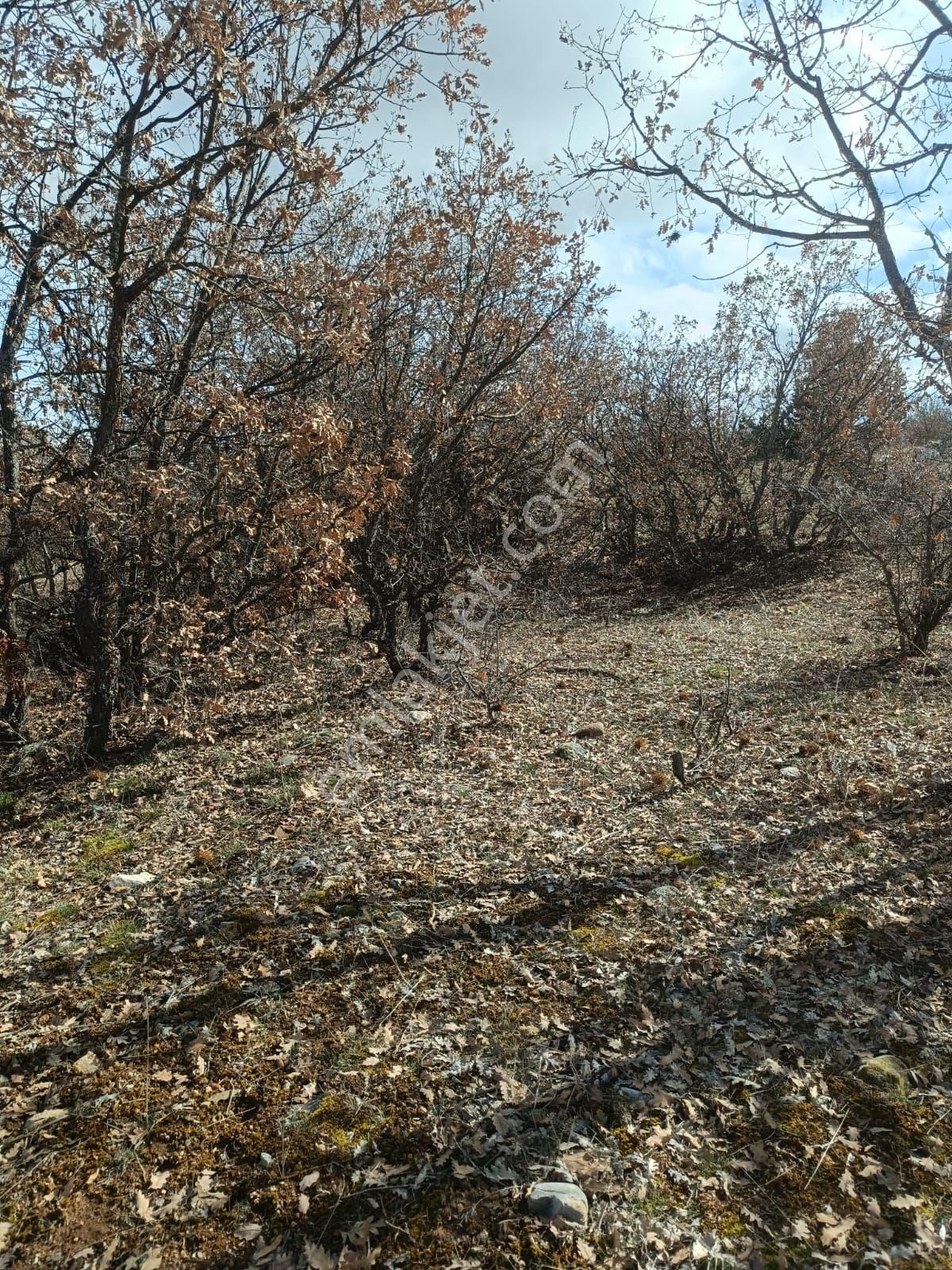 Meram Kayalida İntikal Tapulu - Görsel 8