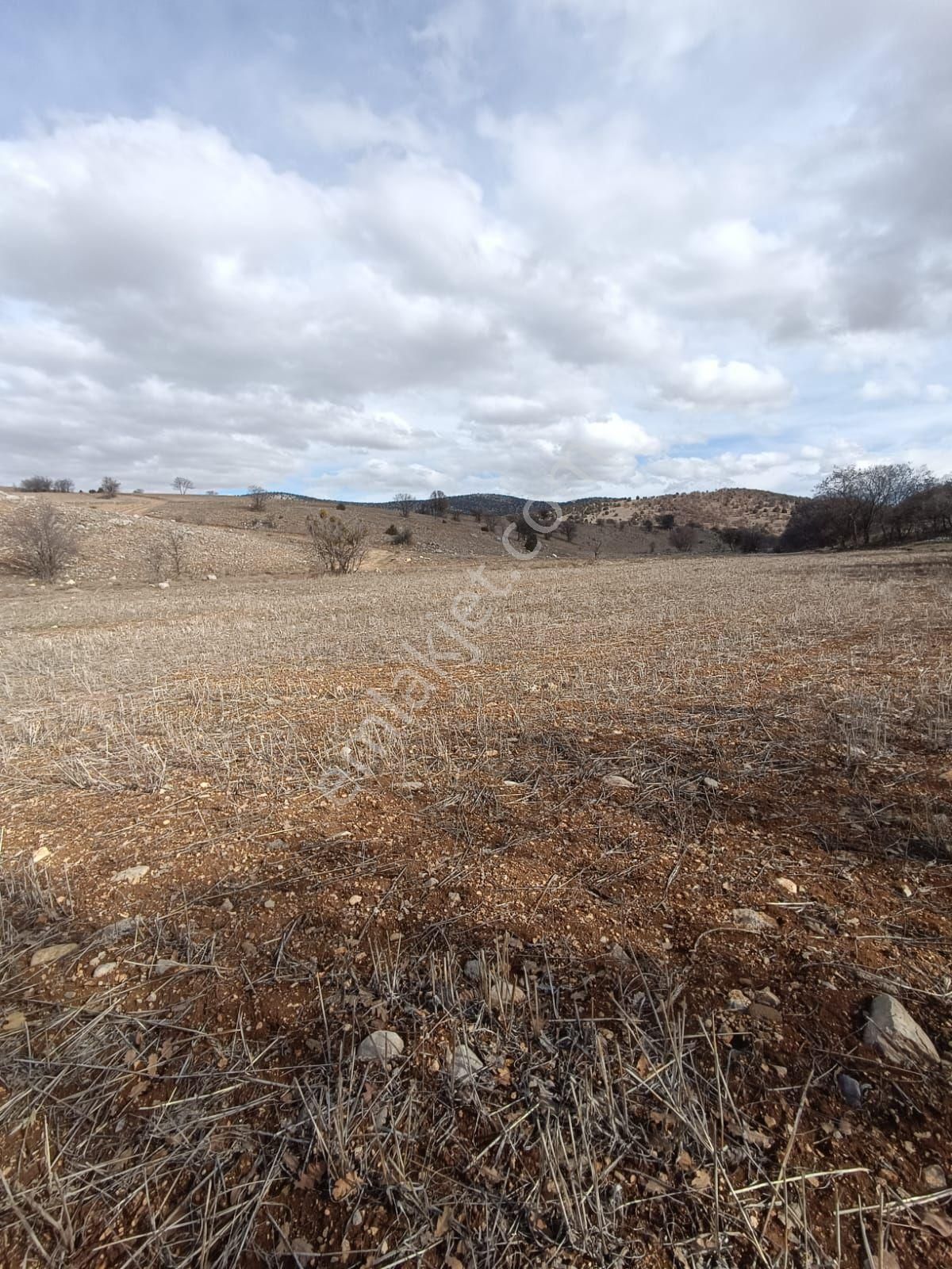 Meram Kayalida İntikal Tapulu