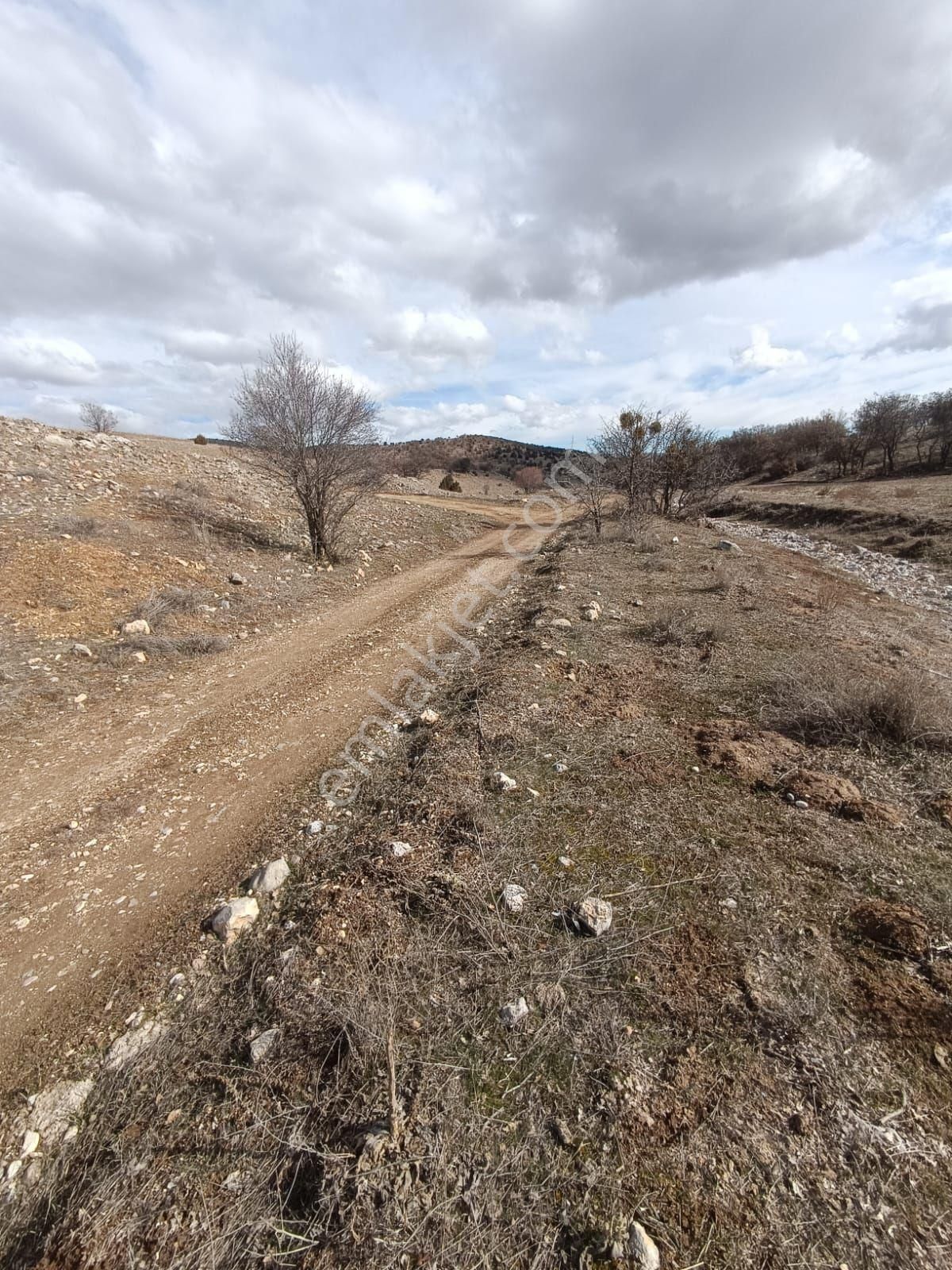 Meram Kayalida İntikal Tapulu - Görsel 9