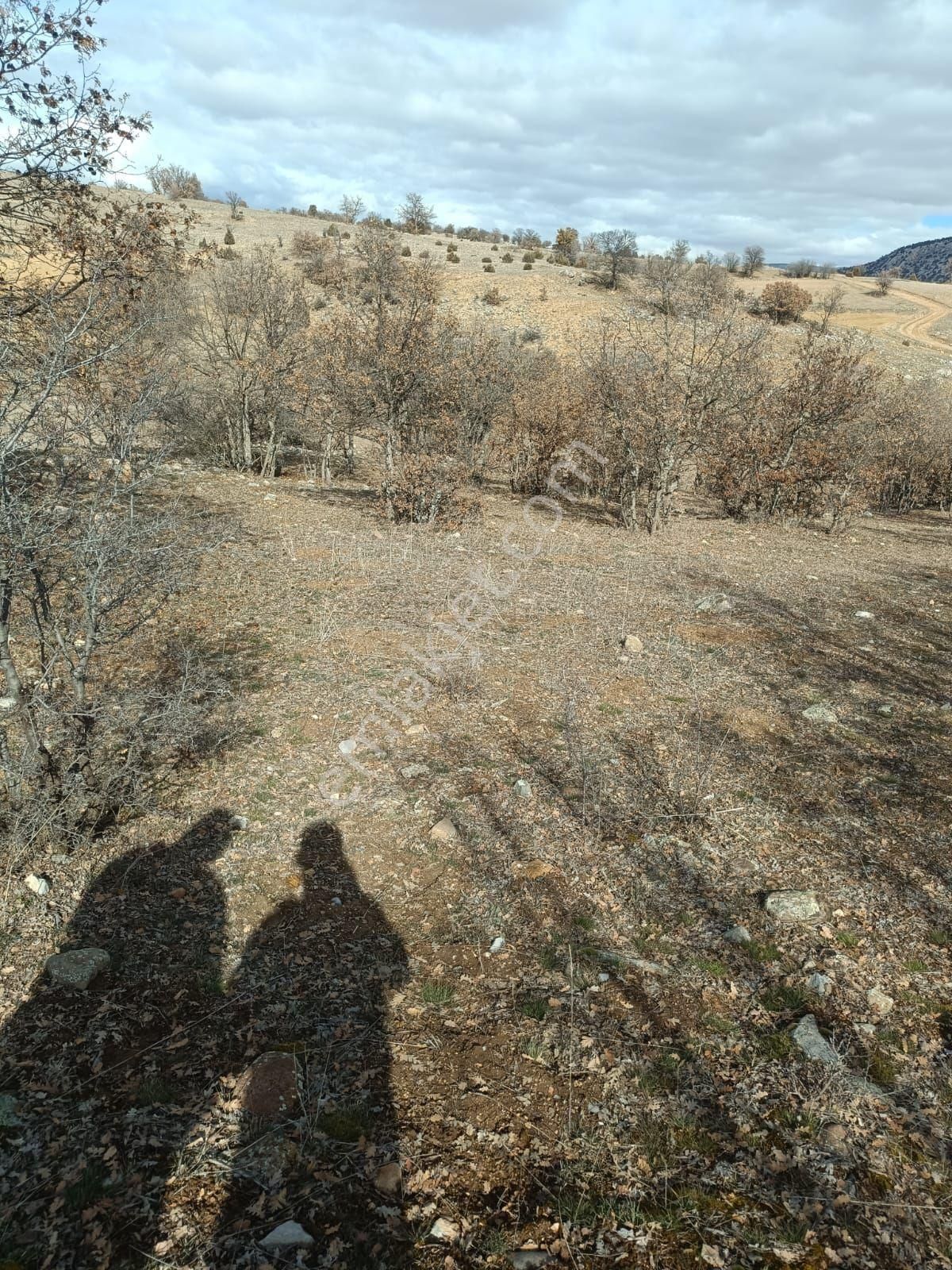 Meram Kayalida İntikal Tapulu - Görsel 6