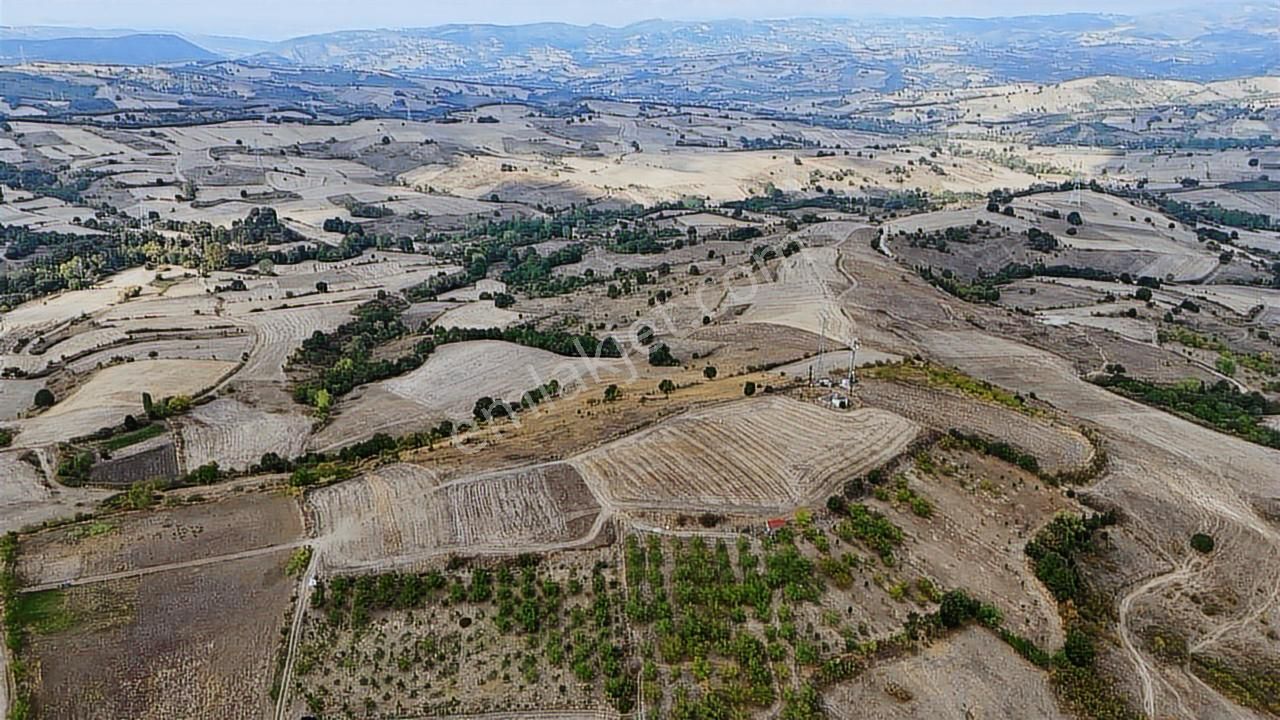 Tarcanlar'dan Karamürsel Kızderbent'te Satılık 3931m2 Tarla - Görsel 12