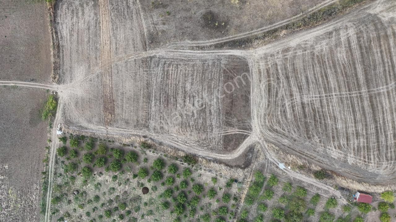 Tarcanlar'dan Karamürsel Kızderbent'te Satılık 3931m2 Tarla - Görsel 6