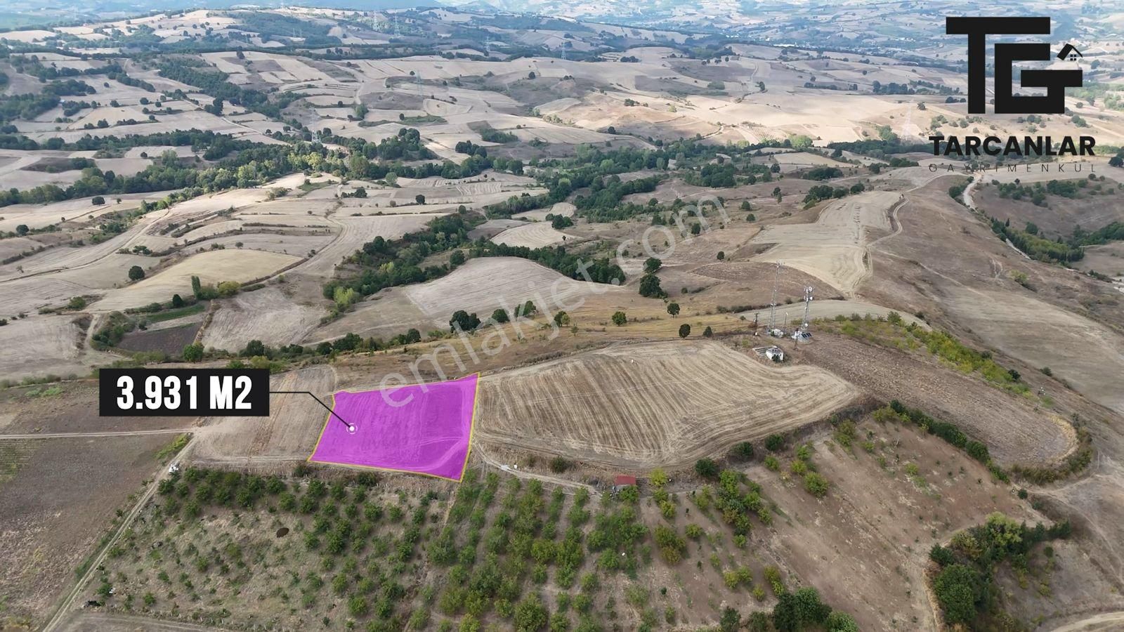 Tarcanlar'dan Karamürsel Kızderbent'te Satılık 3931m2 Tarla - Görsel 4