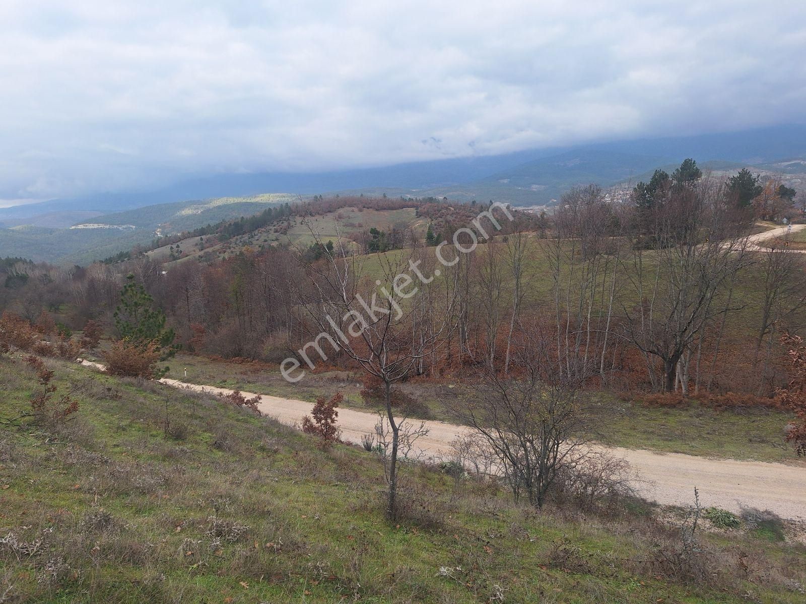 Berkay Emlaktan Satılık Kozbudaklar Köyü Tarla - Görsel 2